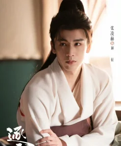武安侯笛 眾裡尋他千百度 中音長笛樂譜與伴奏
