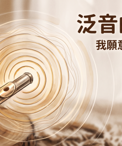 王菲 我願意 中音長笛樂譜